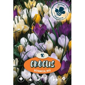 Botanični žafran Mix