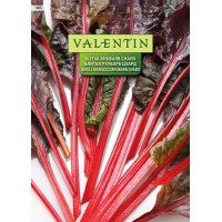 Valentin Blitva Rhubarb Chard rdečelistna