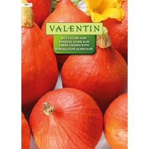 Valentin Buča Uchiki Kuri