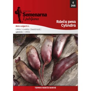 Semenarna Rdeča pesa Cylindra