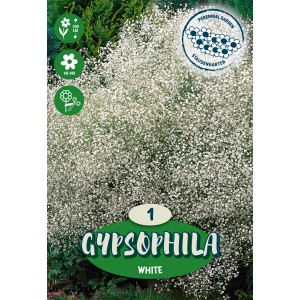 Sadrenka "Paniculata" bela
