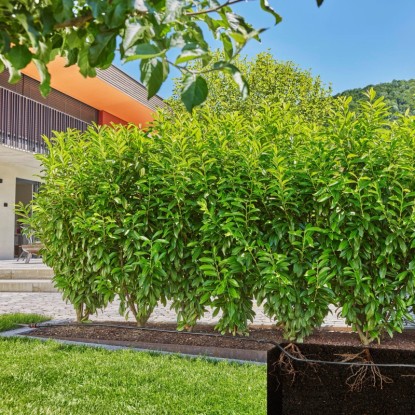 Gardena Komplet za kapljično namakanje žive meje/grmov 25 m