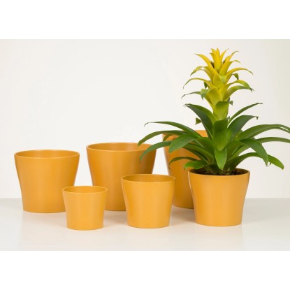 Scheurich Okrasni lonček 808 Ø 19 cm x 16 cm Curcuma