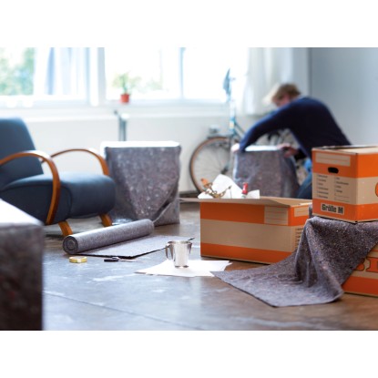 LUX-TOOLS Pokrivni flis 1 m x 10 m