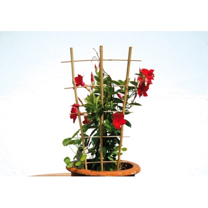 Floraworld Oporna rešetka za rastline Classic 160 cm