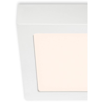 Briloner LED stropna in stenska svetilka Fire bela