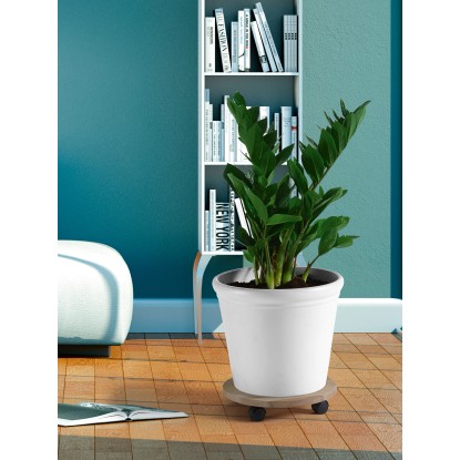 Premičen podstavek za rastline Bukev okrogel, Ø 35 cm