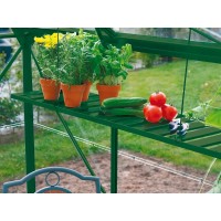 Aluminijasti regal 120 cm x 31 cm Zelene barve zložljiv