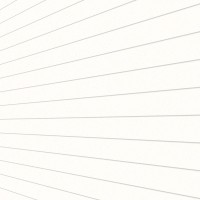 Stenski in stropni panel Dekor univerzalna bela sijaj 200 cm x 20,2 cm x 1 cm