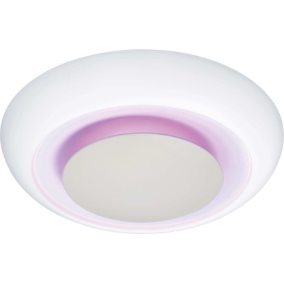 Stropna LED-svetilka Ferrilo 50 cm