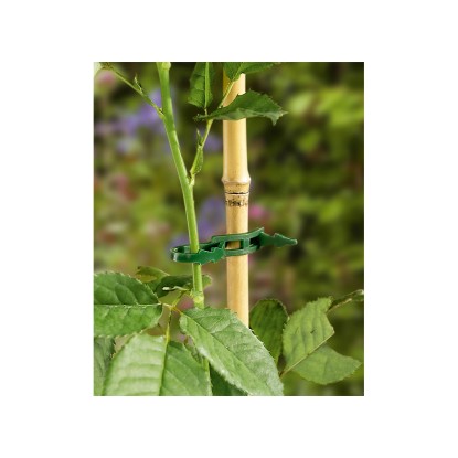 Vezice za rastline 13 cm 50 kosov