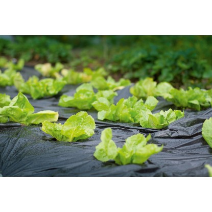 Zastirna folija 10 m x 1,5 m