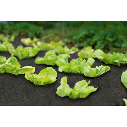 Koprena proti plevelu Črna 5 m x 1,5 m