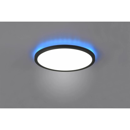 Reality Stropna LED-svetilka Aureo 1-plamenska črna mat Ø 29 cm