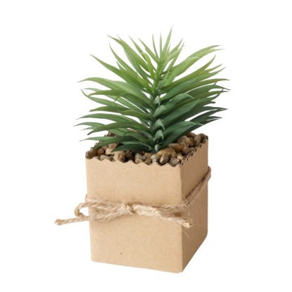 Boltze Lončnica Agamo 4 vrste sortirano 17 cm x 6 cm x 6 cm natur