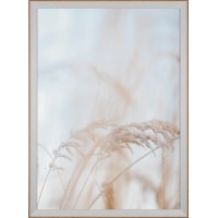 Leseni okvir za sliko FSC natur 50 cm x 70 cm