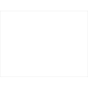 OBI Premium Barvni lak snežno beli sijajni 750 ml