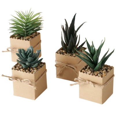 Boltze Lončnica Agamo 4 vrste sortirano 17 cm x 6 cm x 6 cm natur