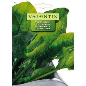 Valentin Špinača Matador