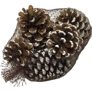 Jelkini vršički, beli