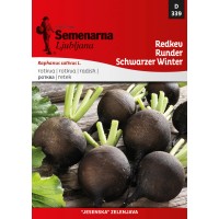 Semenarna Redkev Runder schwarzer Winter