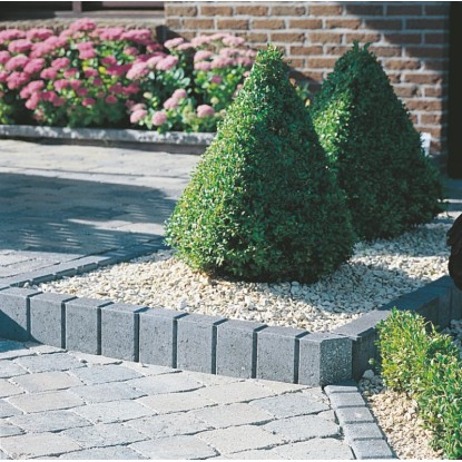 Obroba za trato palisada antracit pravokotna 25 cm x 55 cm x 8 cm