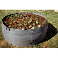 Homeogarden Visoka greda PlantIN siva 1134 l