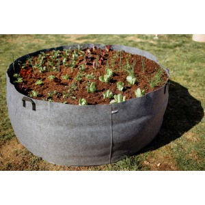 Homeogarden Visoka greda PlantIN siva 1134 l
