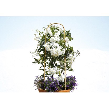 Floraworld Oporni lok za rastline 2-delni komplet 90 cm