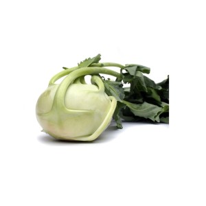 Sadike nadzemne kolerabice Quickstar F1 bela 9 kos