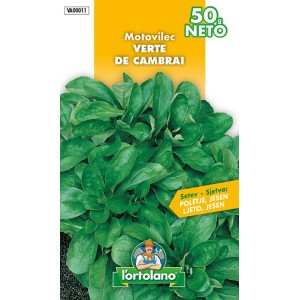 l'ortolano Motovilec Verte de Cambrai 50 g