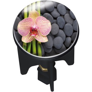 Wenko Odtočni čep Pluggy Spa večbarvni