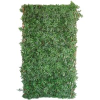 Tenax Sintetična živa meja Divy 3D X-Tens Acer Palmatum 1 m x 2 m zelena