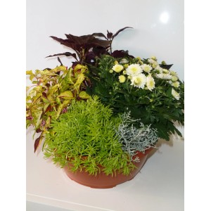Jesenska skleda Ø 26 cm