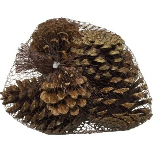 Jelkini vršički, naravni