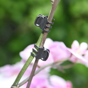 Floraworld Sponka za orhideje Komplet 10 kosov Antracit