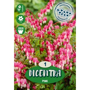 Lepi srčki "Spectabilis" roza