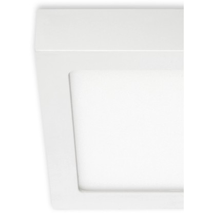 Briloner LED stropna in stenska svetilka Fire bela 12 W