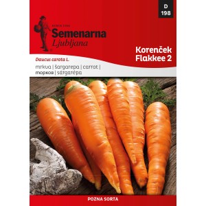 Semenarna Korenček Flakkee 2