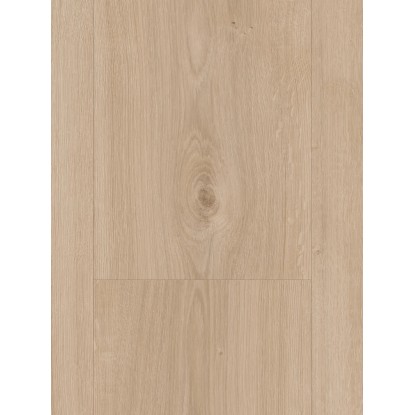 Parador Laminat Basic 600 hrast Avant deske za podeželsko hišo male