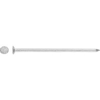 Žičnik z ravno glavo Ø 3,1 mm x 70 mm Pocinkan 1 kg