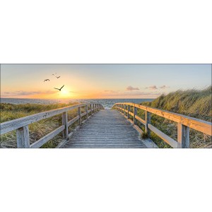 Pro-Art Slika na steklu V–Bird above Lost Sea 50 cm x 125 cm x 1,4 cm