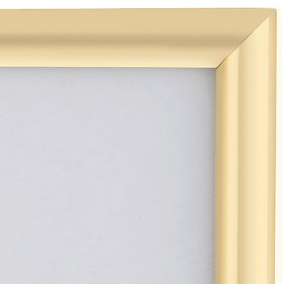 OBI Okvir za sliko umetna masa 30 cm x 40 cm zlati