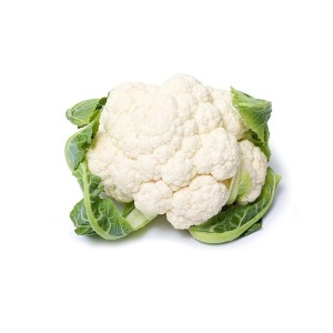 Sadike cvetače Telergy F1 9 kos