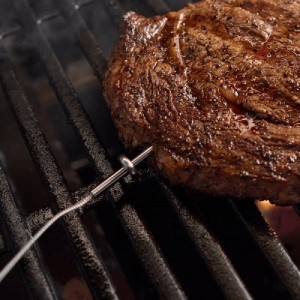 Weber Sonda za merjenje Standard