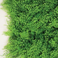 Tenax Sintetična živa meja Divy 3D Fern 0,5 m x 1 m zelena